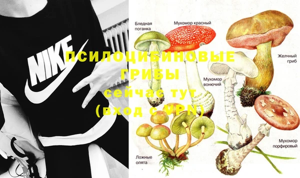 спиды Липки
