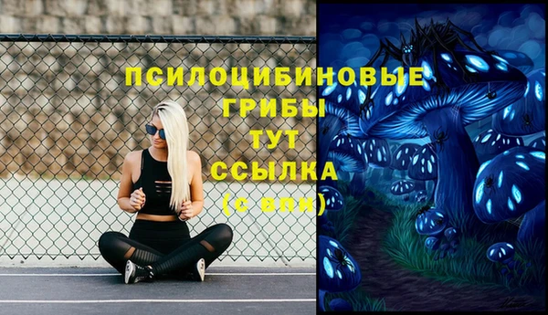 спиды Липки