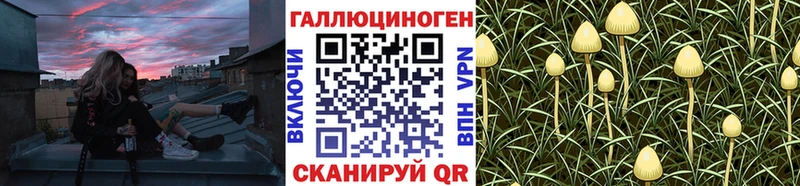 Купить где  Емва  Галлюциногенные грибы мицелий 